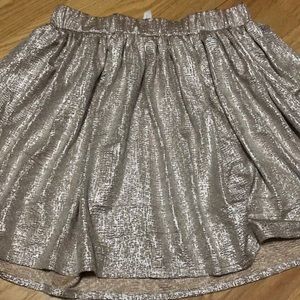 Rose Gold Circle Skirt